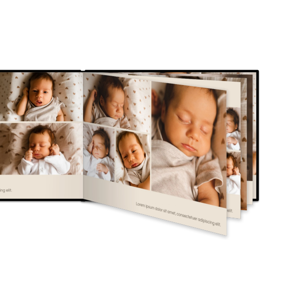 Portfolio Beige