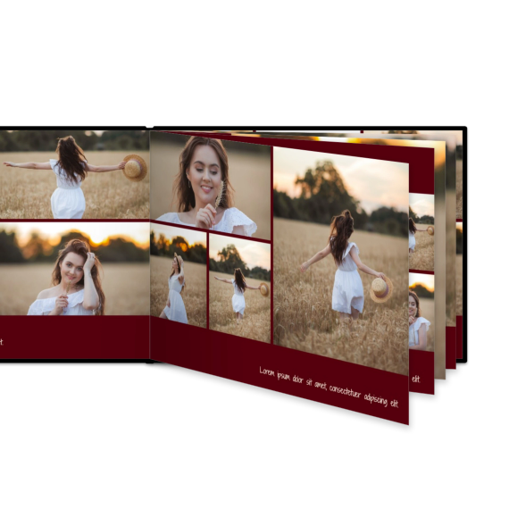 Portfolio Burgundy Portfolio Burgundy