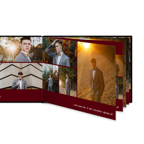 Portfolio Burgundy Portfolio Burgundy