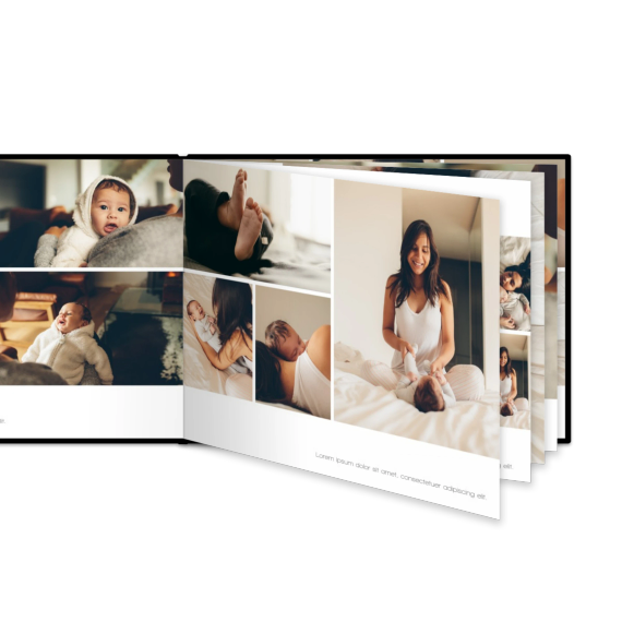 Portfolio White Portfolio White