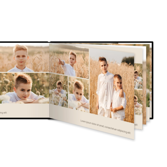 Portfolio Beige