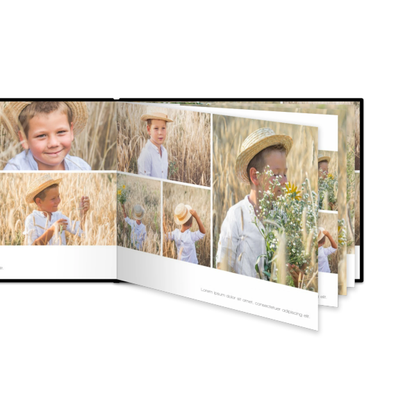 Portfolio White