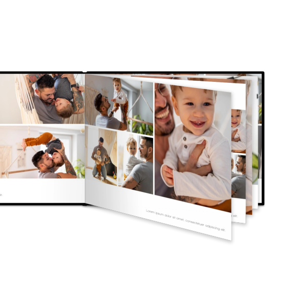 Portfolio White