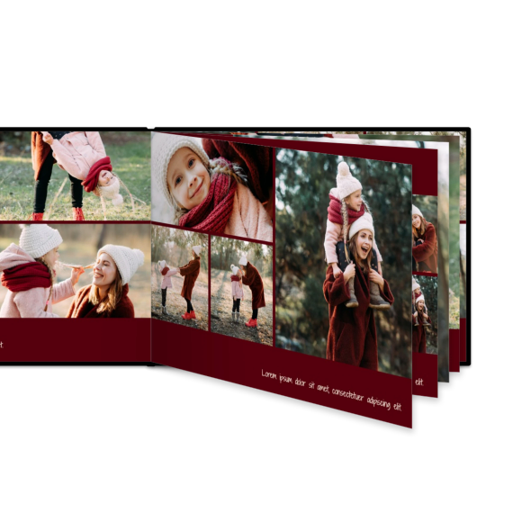 Portfolio Burgundy