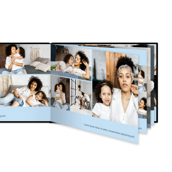 Portfolio Light Blue