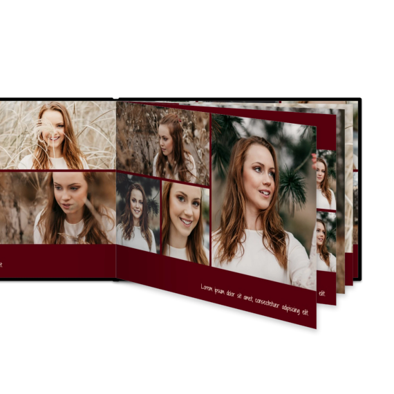 Portfolio Burgundy Portfolio Burgundy
