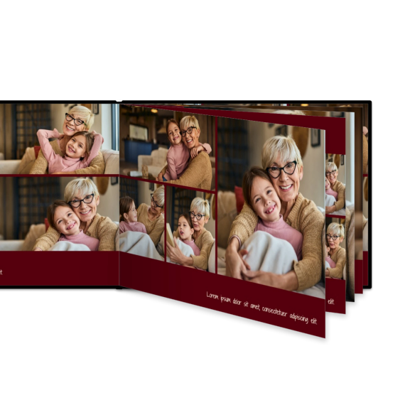Portfolio Burgundy
