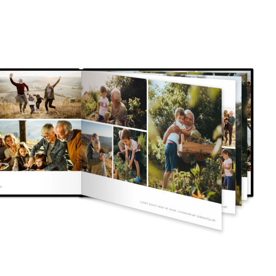 Portfolio White Portfolio White