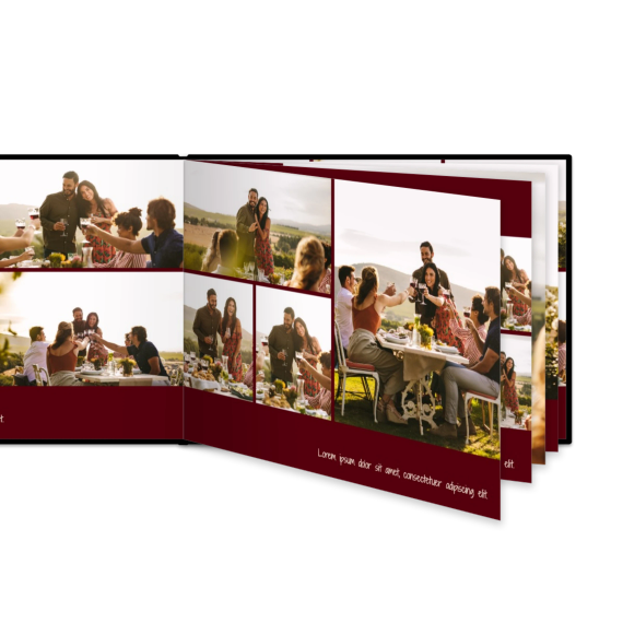 Portfolio Burgundy Portfolio Burgundy