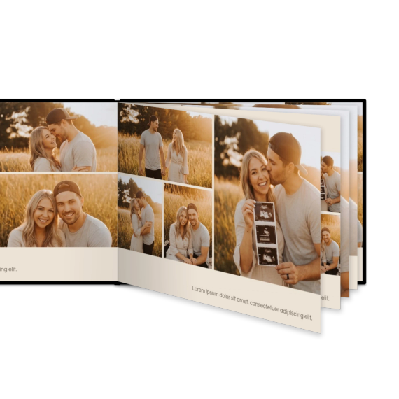Portfolio Beige