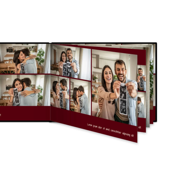 Portfolio Burgundy