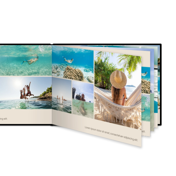 Portfolio Beige