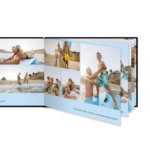 Portfolio Light Blue