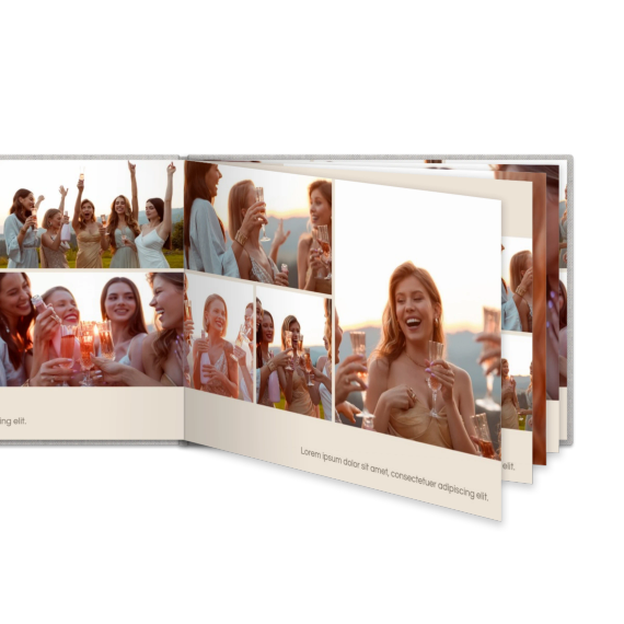 Portfolio Beige