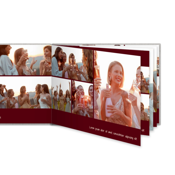 Portfolio Burgundy