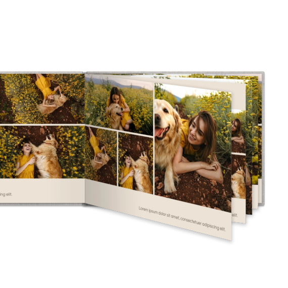 Portfolio Beige