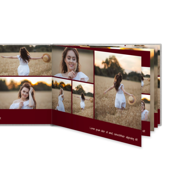 Portfolio Burgundy