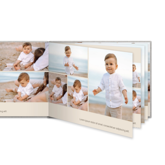 Portfolio Beige Portfolio Beige