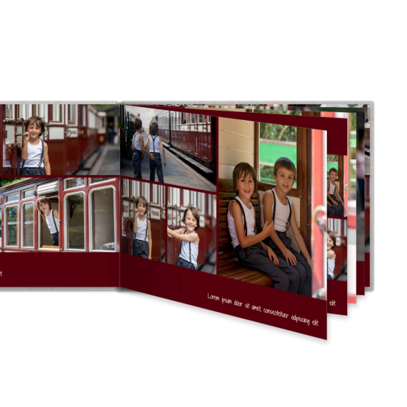 Portfolio Burgundy Portfolio Burgundy