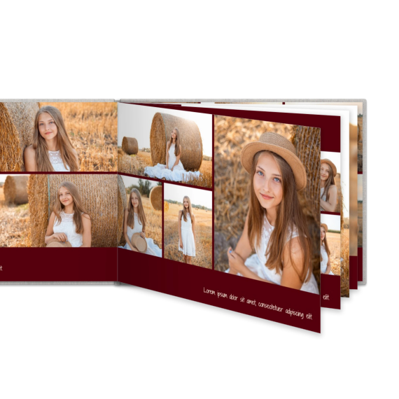 Portfolio Burgundy Portfolio Burgundy