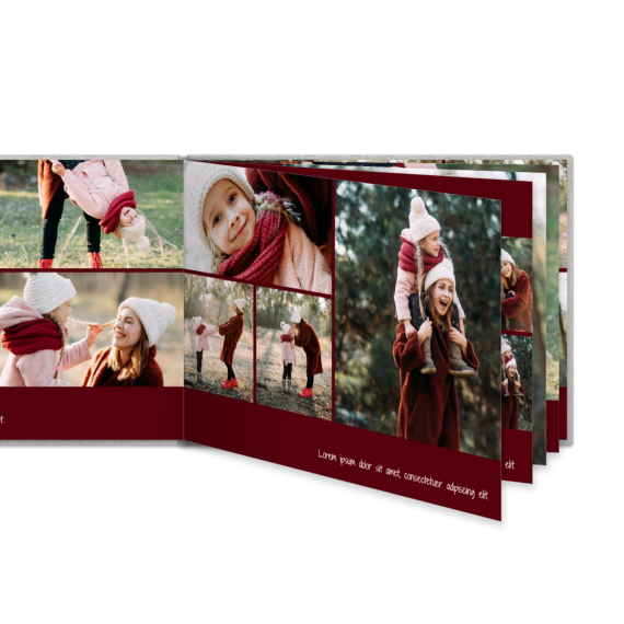 Portfolio Burgundy Portfolio Burgundy