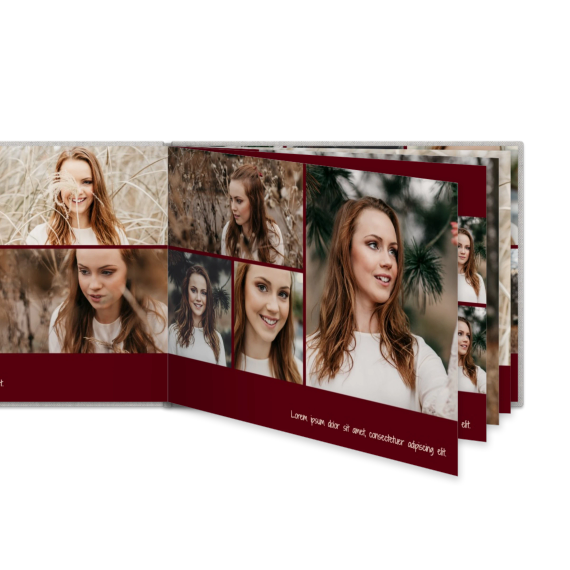 Portfolio Burgundy Portfolio Burgundy