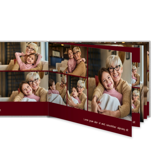 Portfolio Burgundy