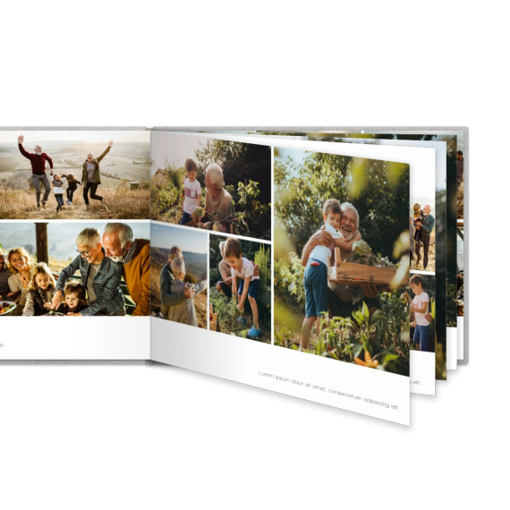 Portfolio White