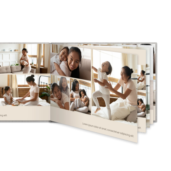 Portfolio Beige