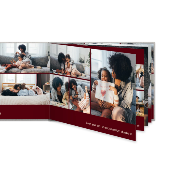Portfolio Burgundy
