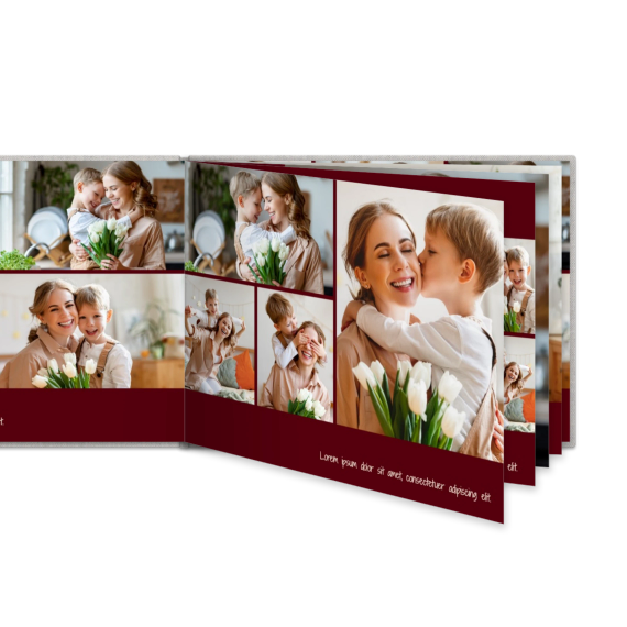 Portfolio Burgundy Portfolio Burgundy