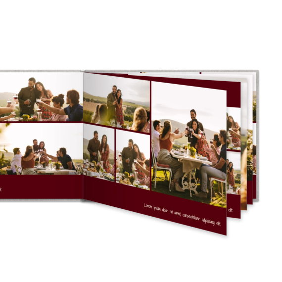 Portfolio Burgundy Portfolio Burgundy