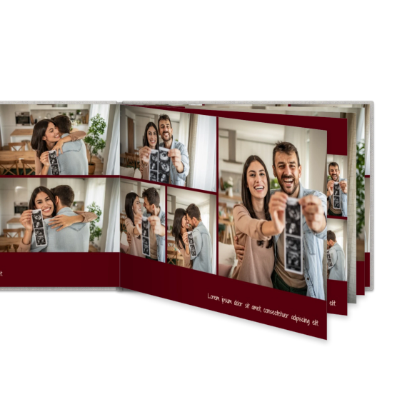 Portfolio Burgundy Portfolio Burgundy