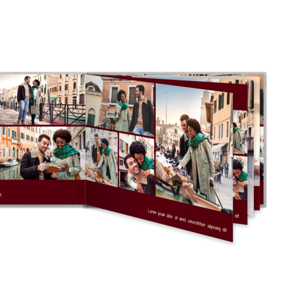 Portfolio Burgundy Portfolio Burgundy