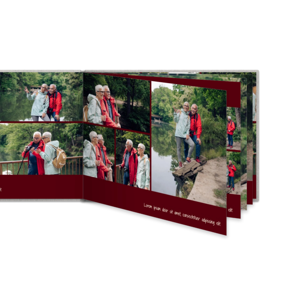 Portfolio Burgundy