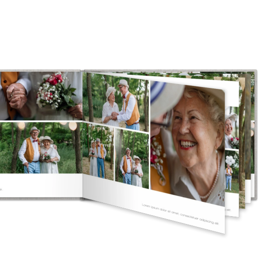 Portfolio White