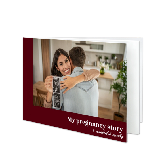 Portfolio Burgundy Portfolio Burgundy