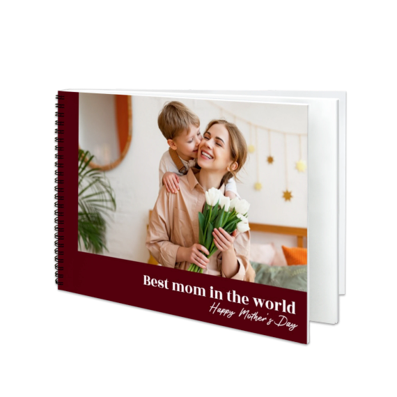 Portfolio Burgundy