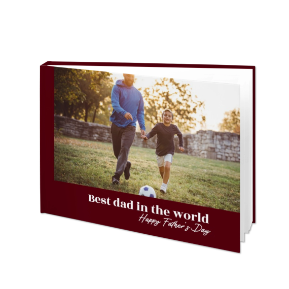 Portfolio Burgundy Portfolio Burgundy