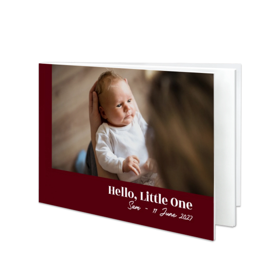 Portfolio Burgundy Portfolio Burgundy