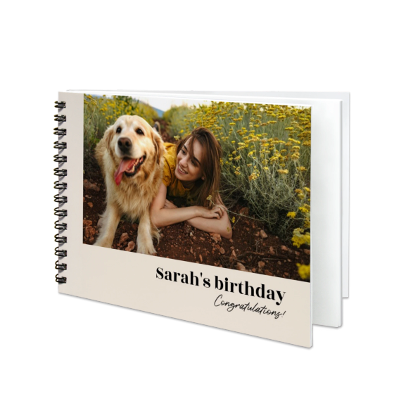 Portfolio Beige