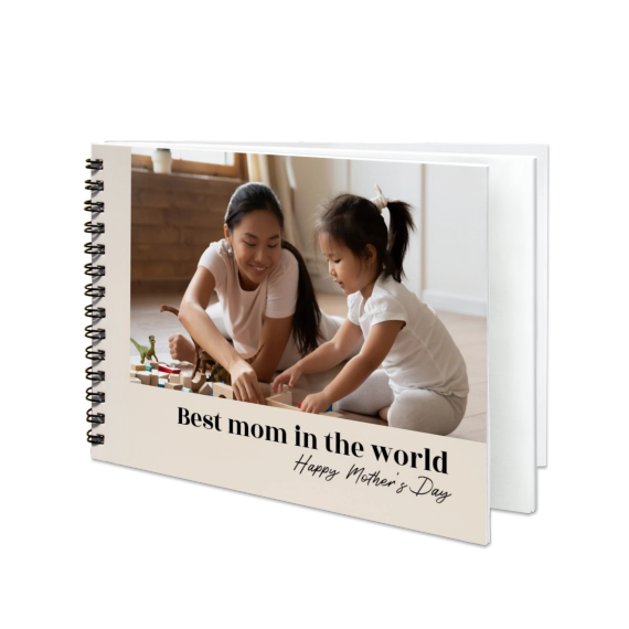 Portfolio Beige