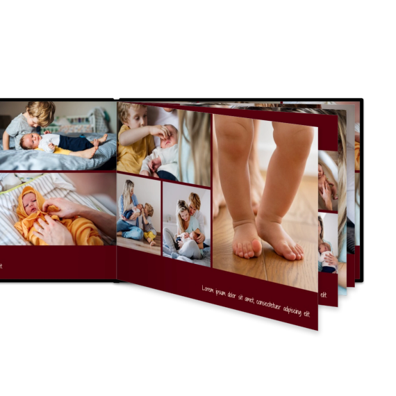 Portfolio Burgundy Portfolio Burgundy