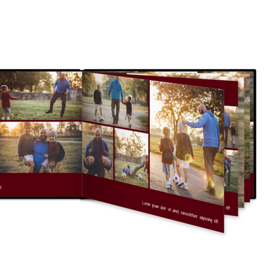 Portfolio Burgundy Portfolio Burgundy