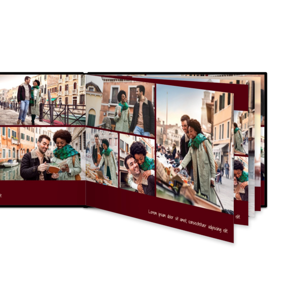 Portfolio Burgundy