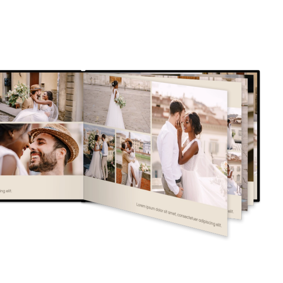 Portfolio Beige Portfolio Beige