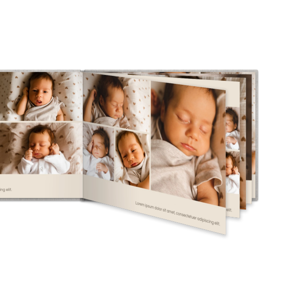 Portfolio Beige