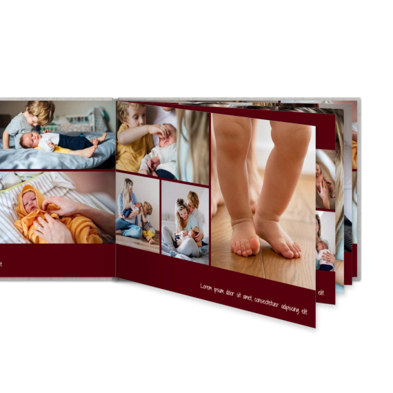 Portfolio Burgundy Portfolio Burgundy