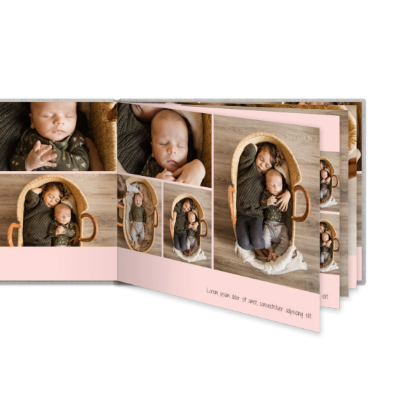 Portfolio Pink Portfolio Pink