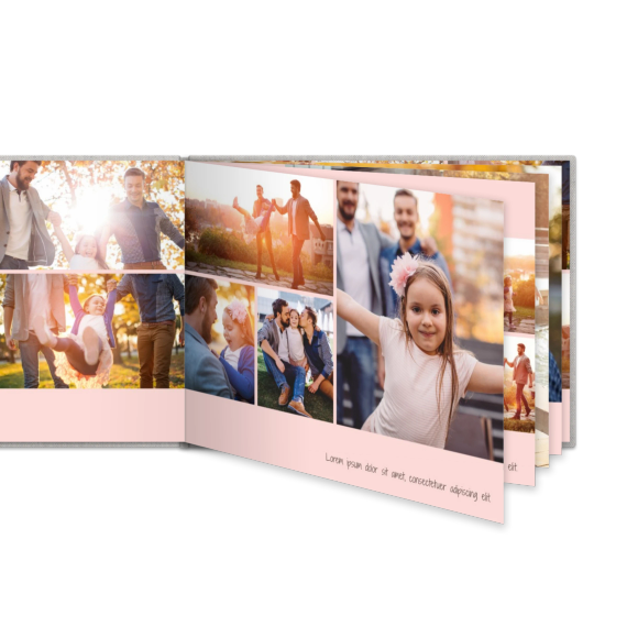 Portfolio Pink Portfolio Pink